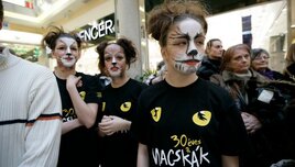 30 éves a Macskák - Flasmob a Mammut-ban