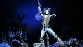 Macskák - Új Generáció előadás